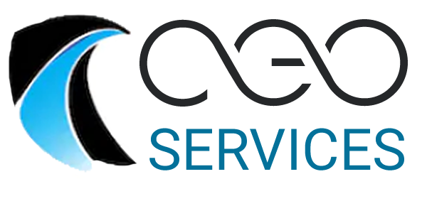 CEO Services, Inc.